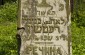 The former Jewish cemetery in Lyuban. ©Jethro Massey/Yahad - In Unum